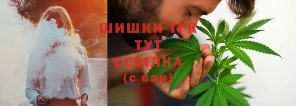 спайс Нея