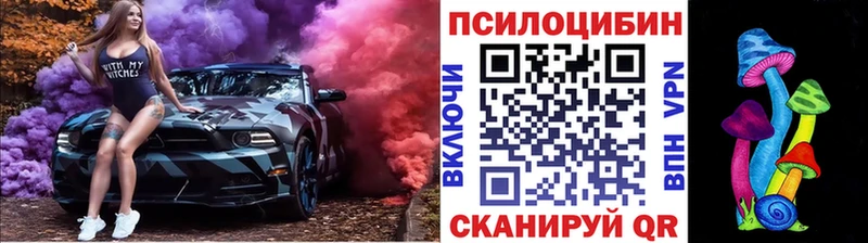 Псилоцибиновые грибы Cubensis  MEGA   Краснознаменск  наркота 